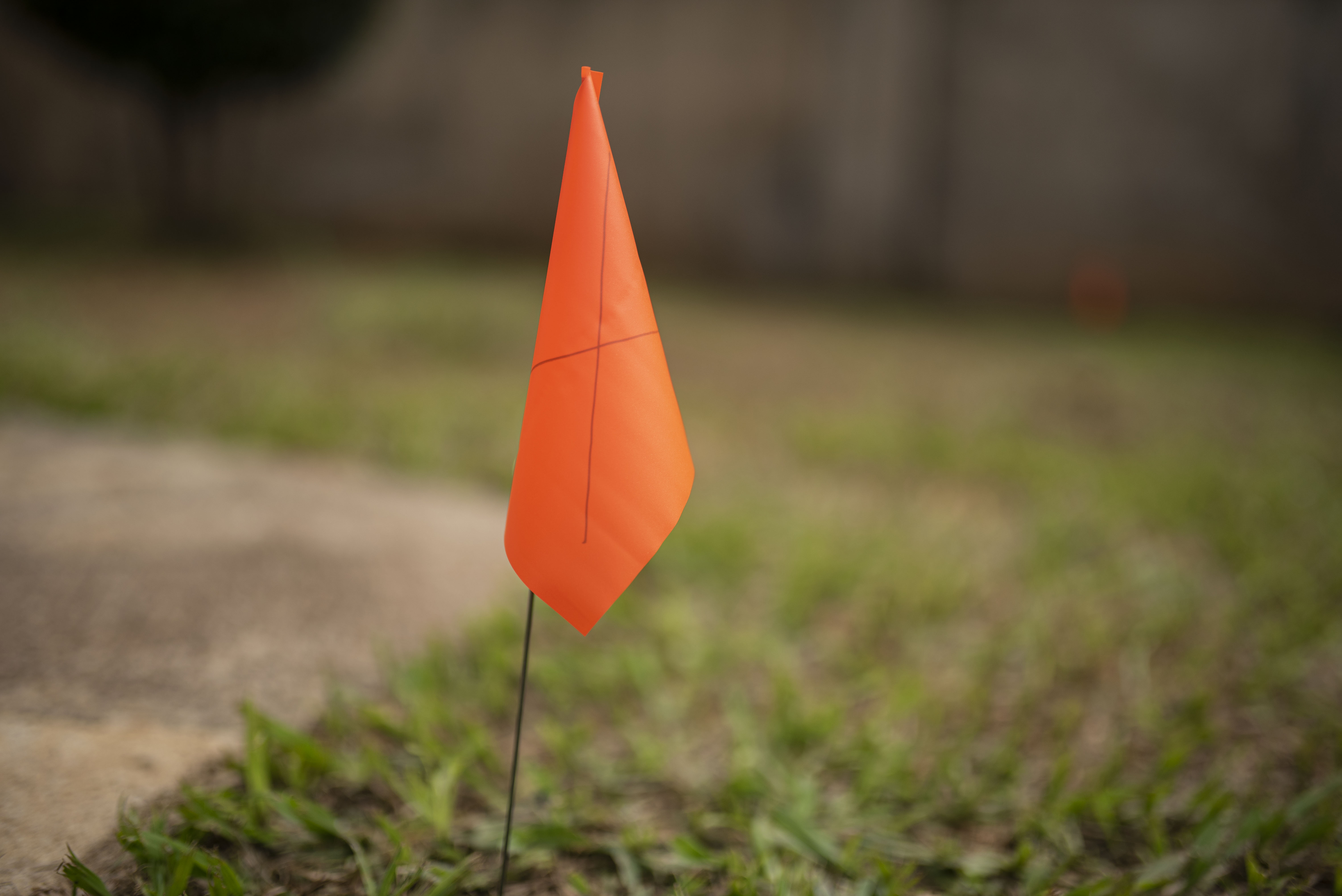 Survey flag in grass