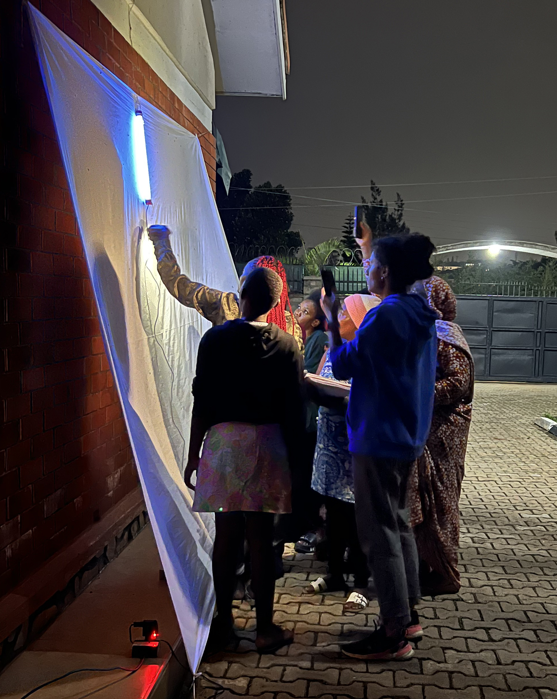 Night insect collection with UV trap
